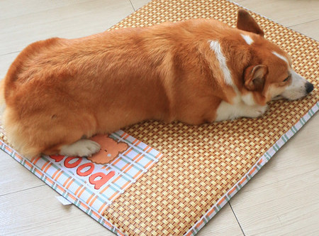 Лятна постелка за кучета - два модела