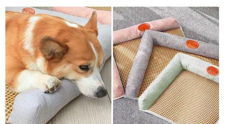 Лятна постелка за кучета