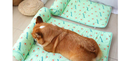 Лятна подложка за куче с възглавничка