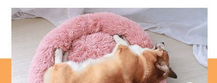 Зимно пухено легло за кучета