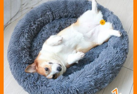 Зимно пухено легло за кучета