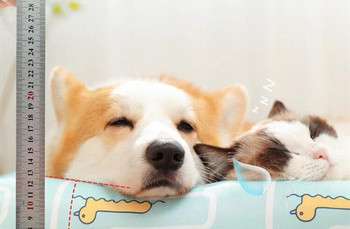 Καλοκαιρινό χαλάκι με μαξιλάρι για σκύλους