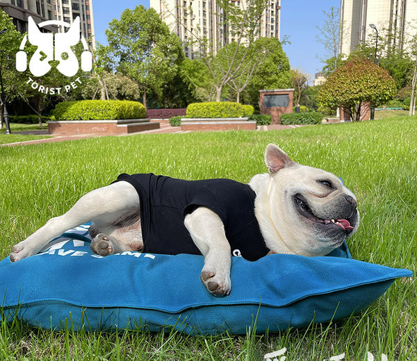 Текстилна възглавница за кучета с надпис