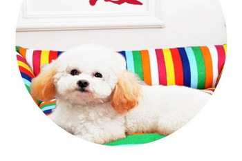 Ζεστό κρεβάτι σκύλου σε πολλά χρώματα