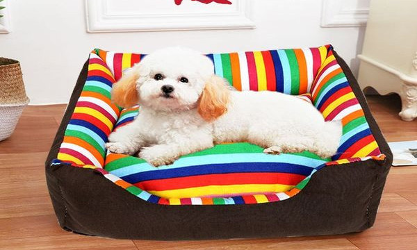 Топло кучешко легло в няколко цвята