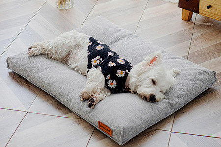 Текстилна възглавница за кучета