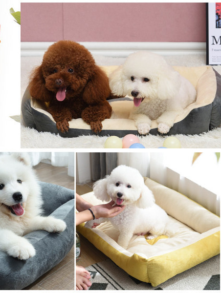 Šilta pliušinė šunų lova - daug spalvų