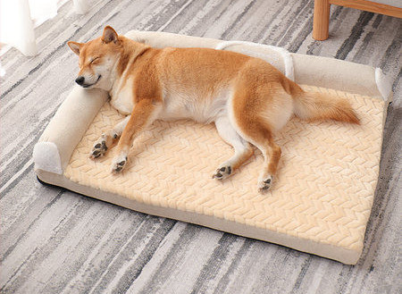 Плюшена постелка за кучета с възглавничка