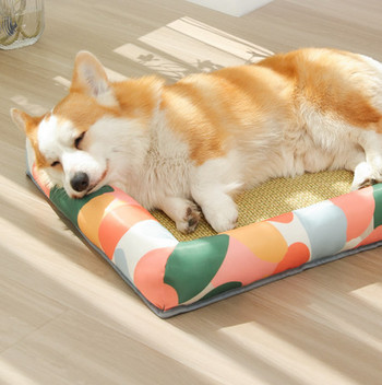 Καλοκαιρινό κρεβάτι σκύλου με μαξιλάρι - πολλά μοντέλα