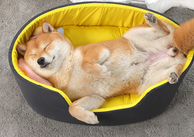 Текстилно кучешко легло различни цветове