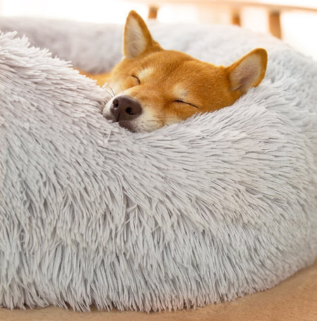 Пухено зимно легло за кучета