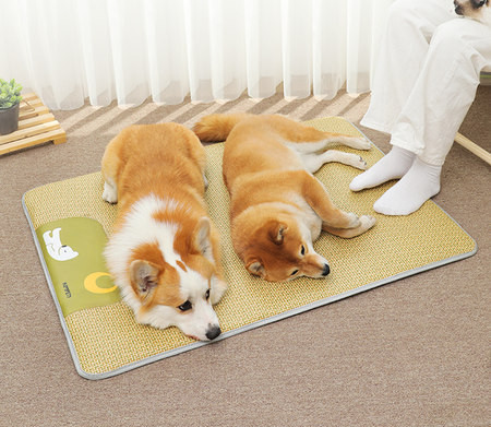 Лятна кучешка постелка