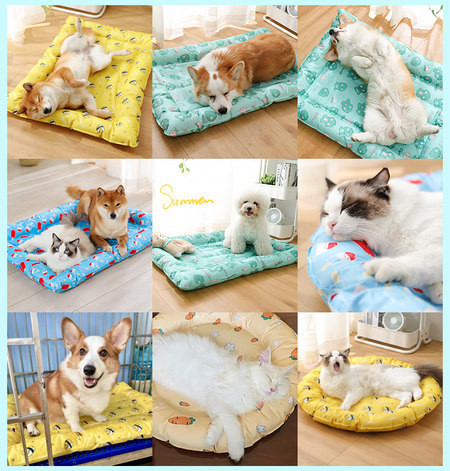 Надуваемо кучешко легло подходящо за басейн