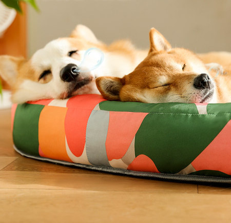 Лятно кучешко легло с шарен десен