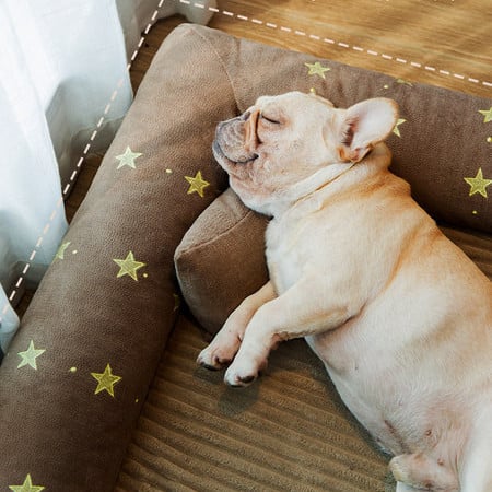 Лятна постелка подходяща за големи кучета