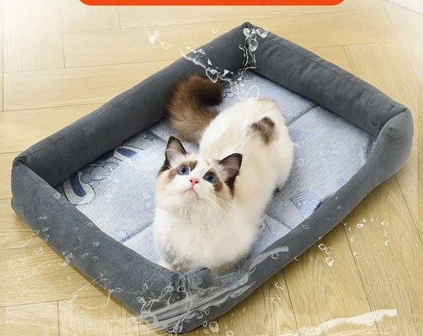 Лятно кучешко легло в много цветове