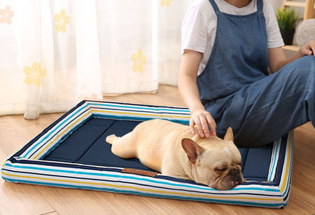 Large textile bedding for dogs