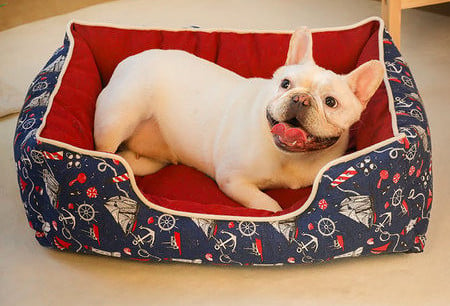 Dog bed suitable for every season in four colors