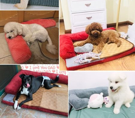 Плюшена постелка за кучета