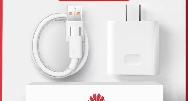 Mrežni punjač s USB priključkom