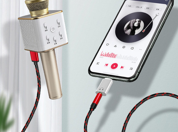 Audio kabelis ar Type-C un Micro USB ligzdu