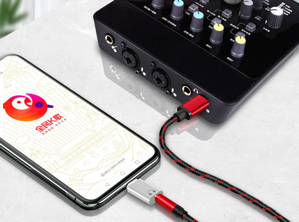 Audio kabelis ar Type-C un Micro USB ligzdu