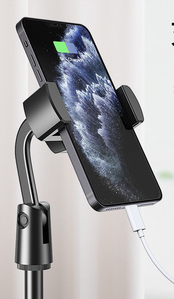 Stalinių asmenukių lazda – įvairių dydžių