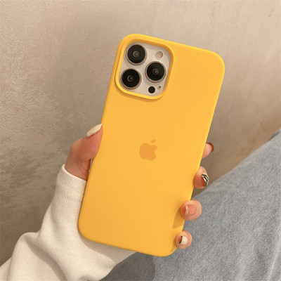 Kaitsev ühevärviline pealdisega ümbris iPhone`ile