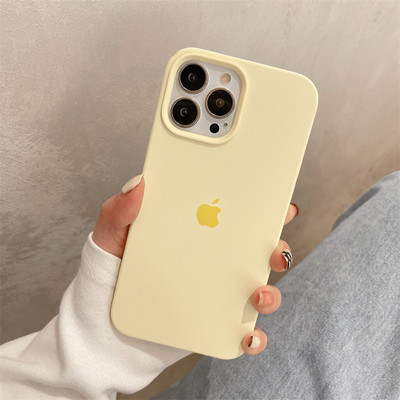 Kaitsev ühevärviline pealdisega ümbris iPhone`ile