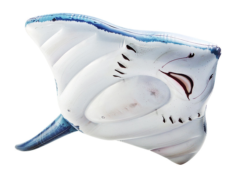 Надуваем дюшек Intex, Скат, 188х145 см