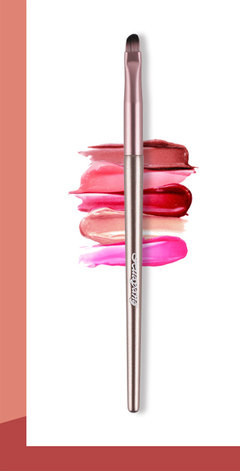 Kist za nanošenje ruža ili sjajila