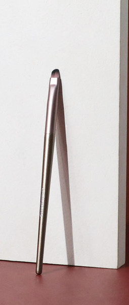 Kist za nanošenje ruža ili sjajila