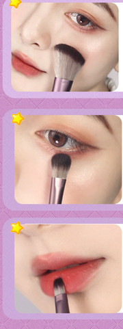 Set de machiaj - un set de 12 pensule de machiaj