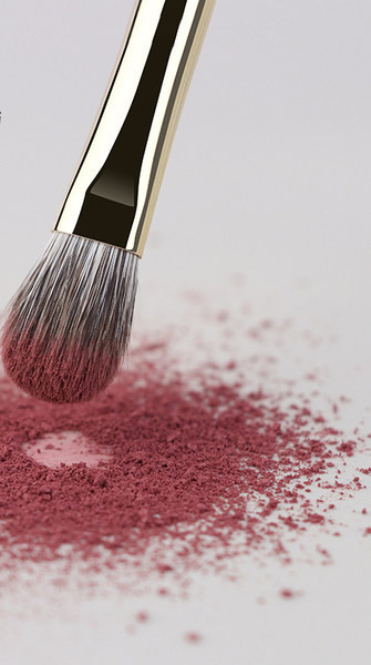 Meigipintslid 4 tükki koos ümbrisega