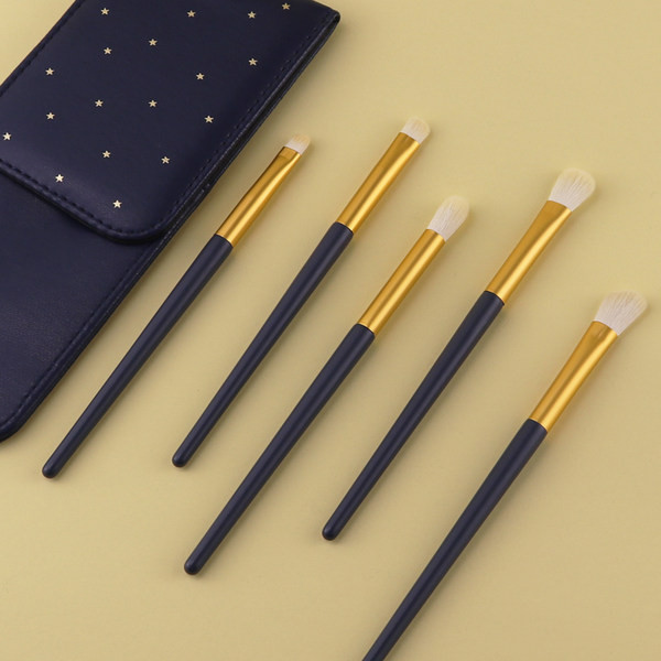 Meigipintslid 5 tükki koos ümbrisega