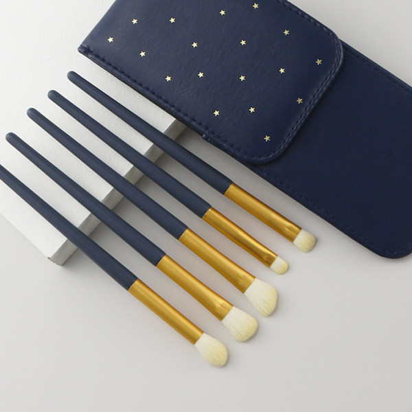 Meigipintslid 5 tükki koos ümbrisega