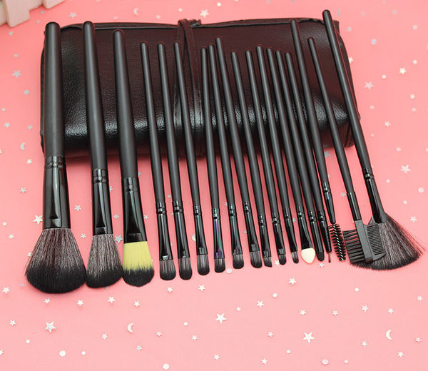 Meigipintslite komplekt nahkümbrises - erinevad mudelid