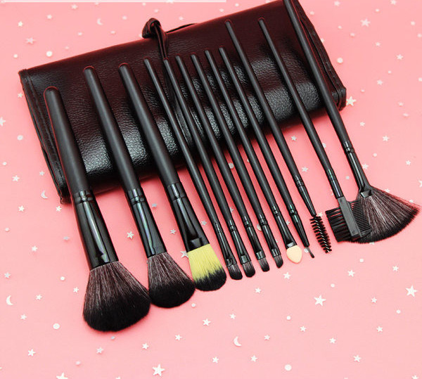 Meigipintslite komplekt nahkümbrises - erinevad mudelid