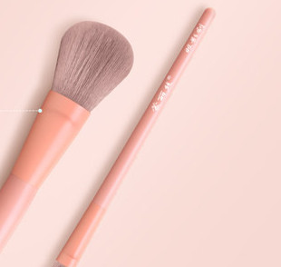 Σετ πινέλα μακιγιάζ σε προστατευτική θήκη