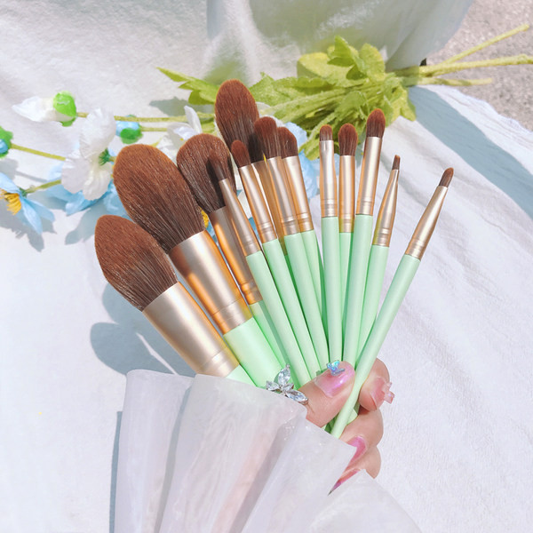 Set četkica za šminkanje -13 komada