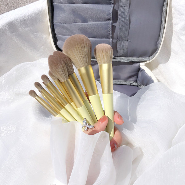 Kistovi za šminkanje 11 komada u kompletu s mekim vlaknima