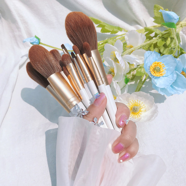 Set od 13 kistova za šminkanje