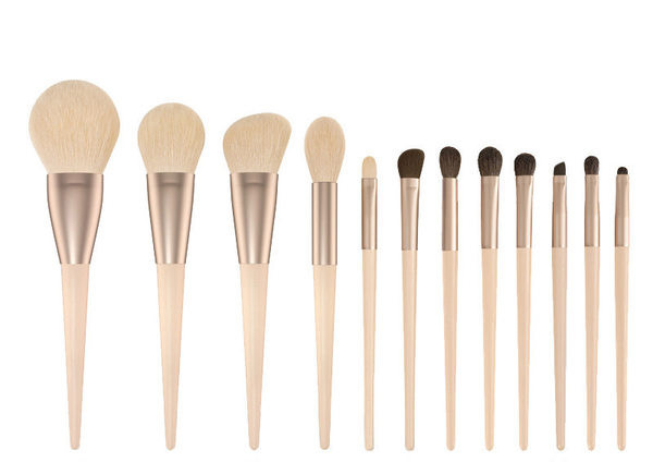 Set od 12 kistova za šminkanje