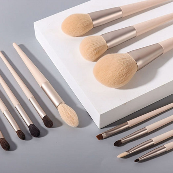 Set od 12 kistova za šminkanje