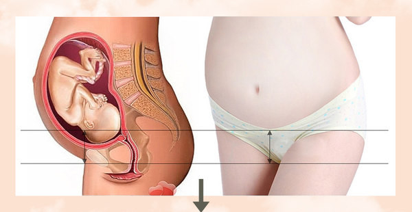 Kokvilnas biksītes ar zemu vidukli — komplektā pa 3